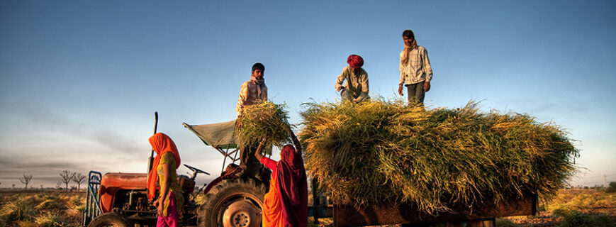 good-agricultural-practices